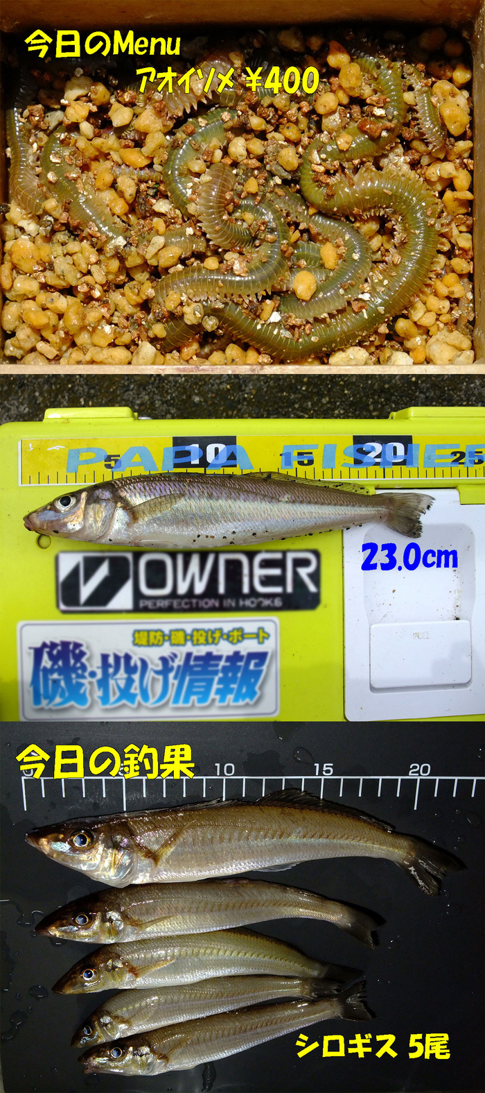 チョイ投げ釣行記6