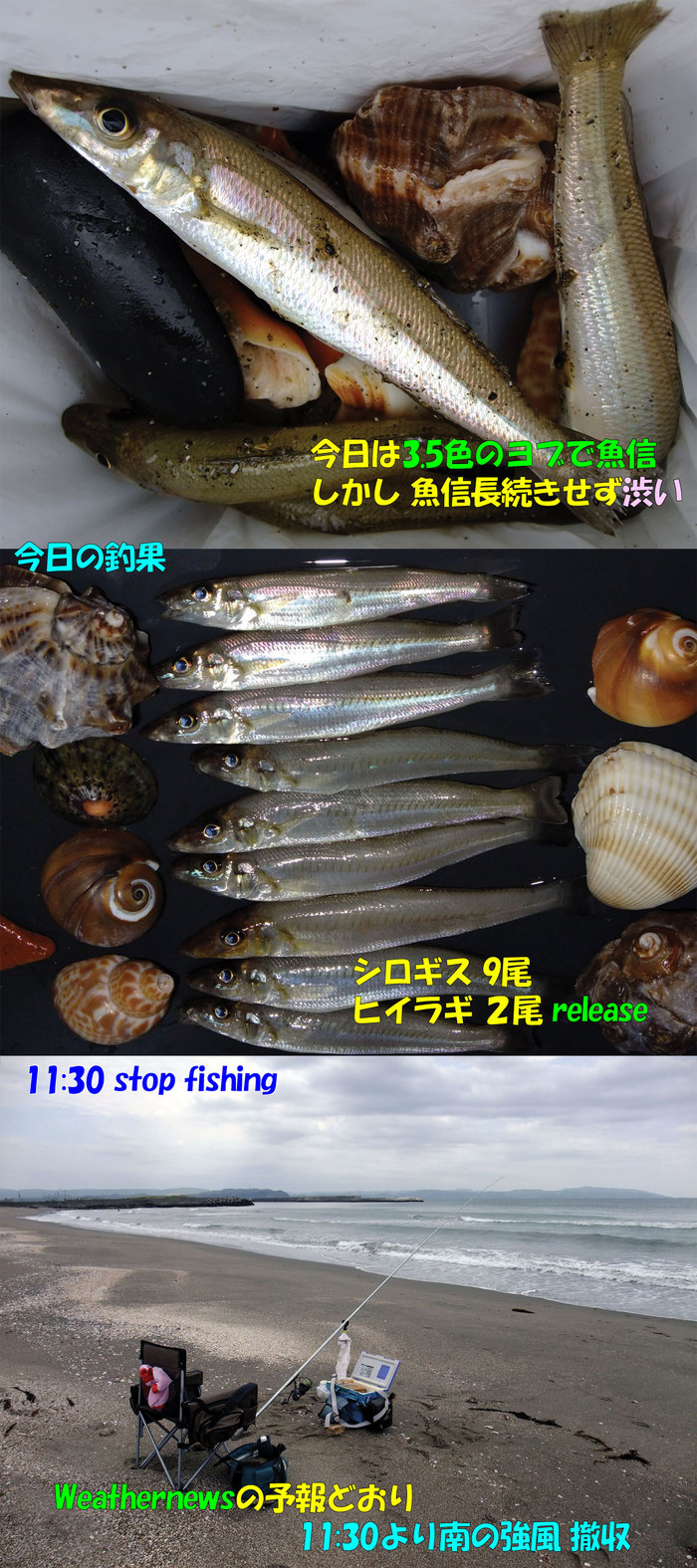 やや投げ釣行記1