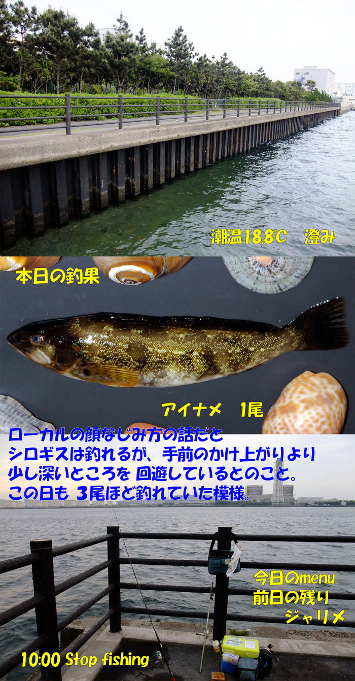 チョイ投げ釣行記1