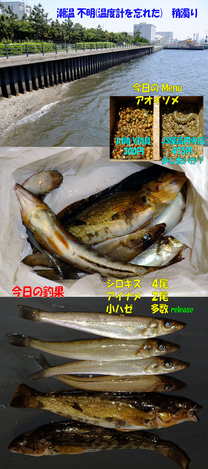 チョイ投げ釣行記３