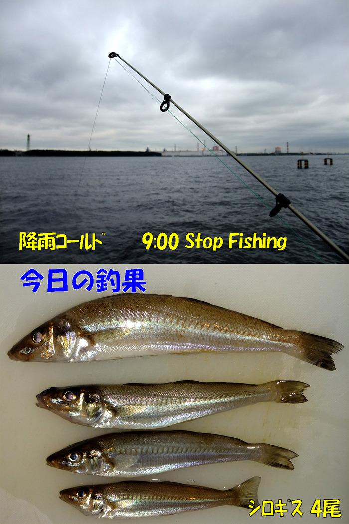 チョイ投げ釣行記28