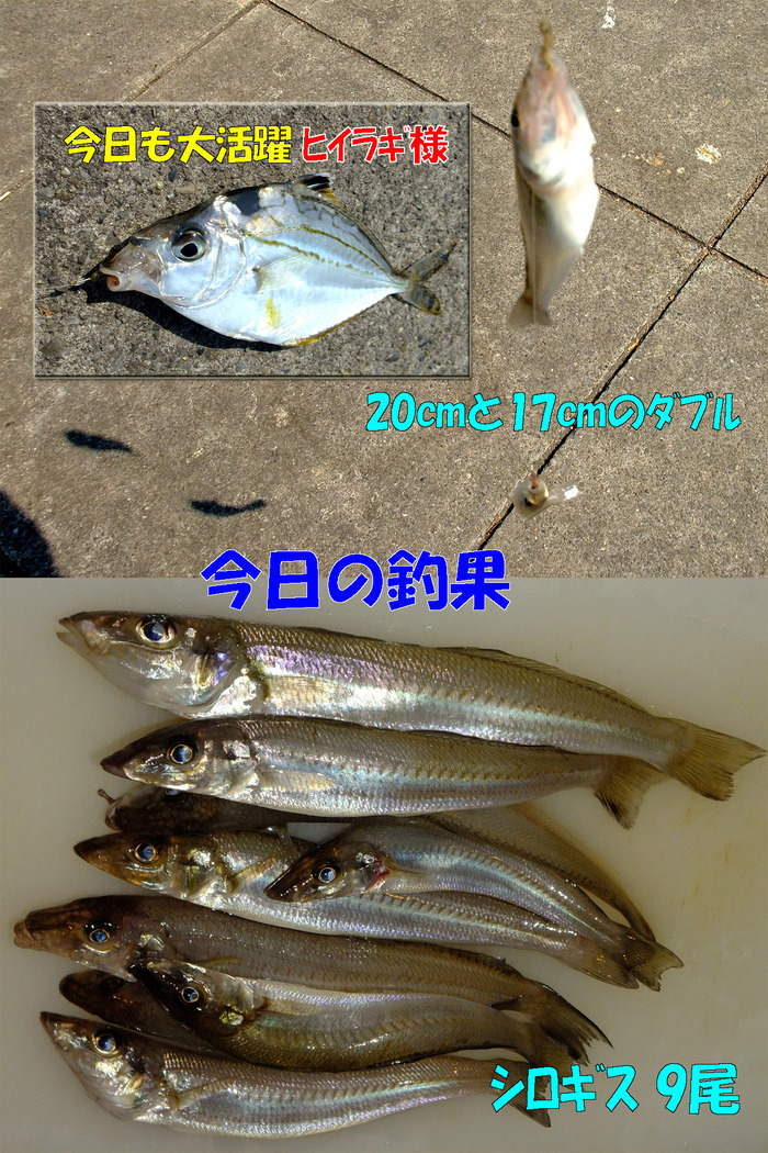 チョイ投げ釣行記32