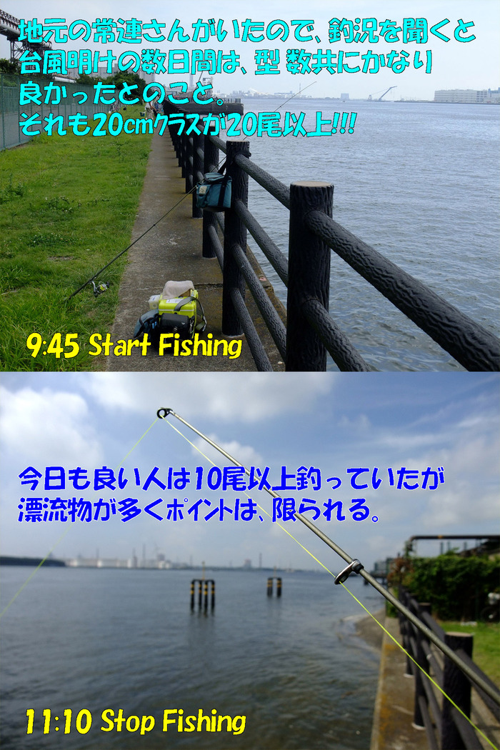 チョイ投げ釣行記45