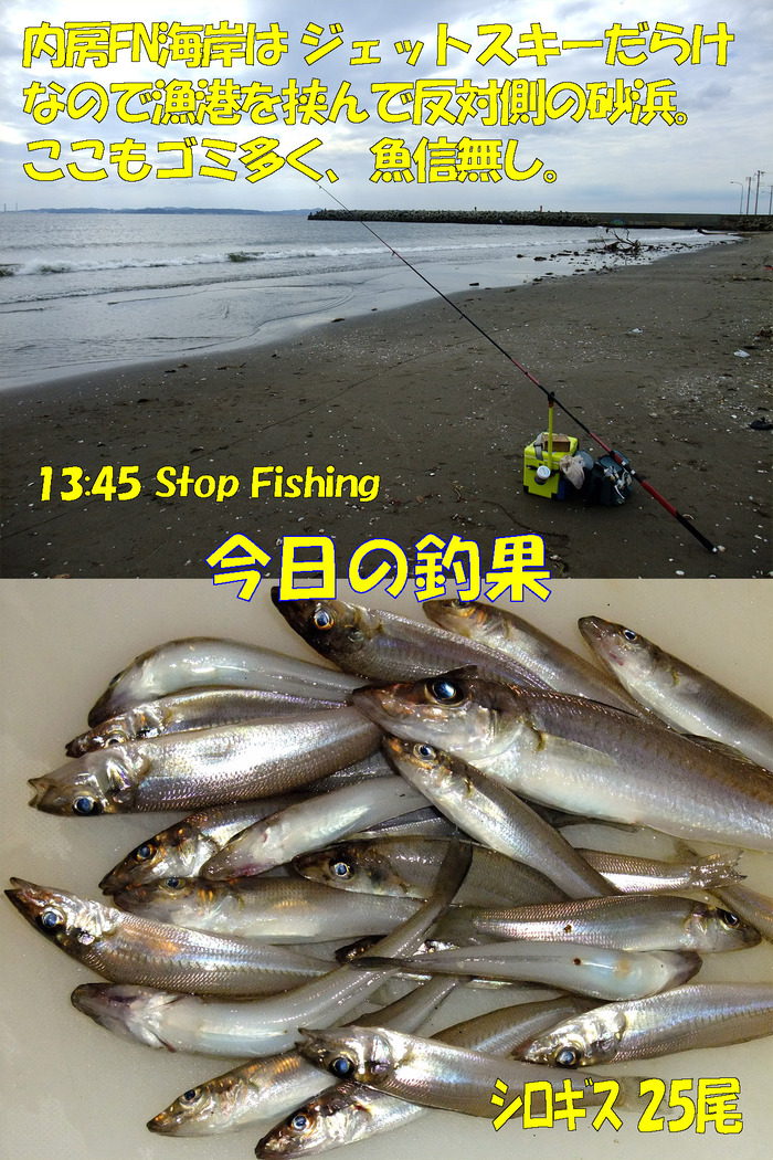 チョイ投げ+やや投げ釣行記51