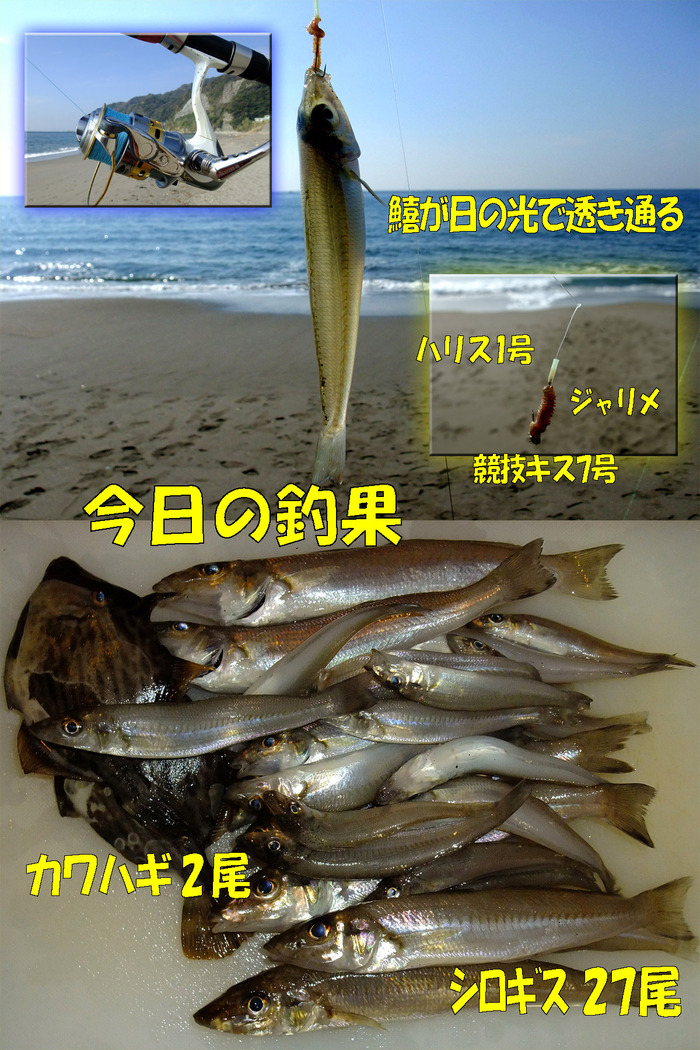 やや投げ鱚釣行記56　内房編
