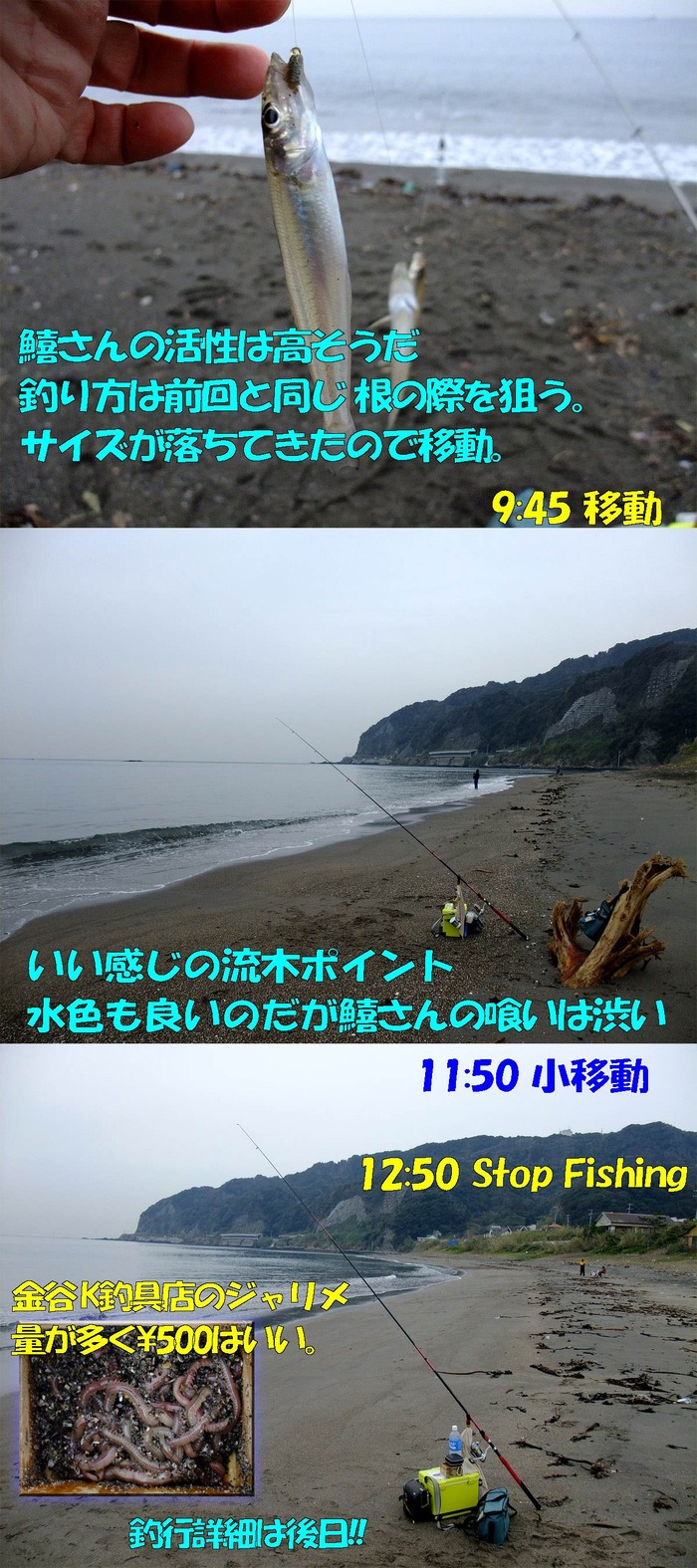 やや投げ鱚釣行記57　内房編