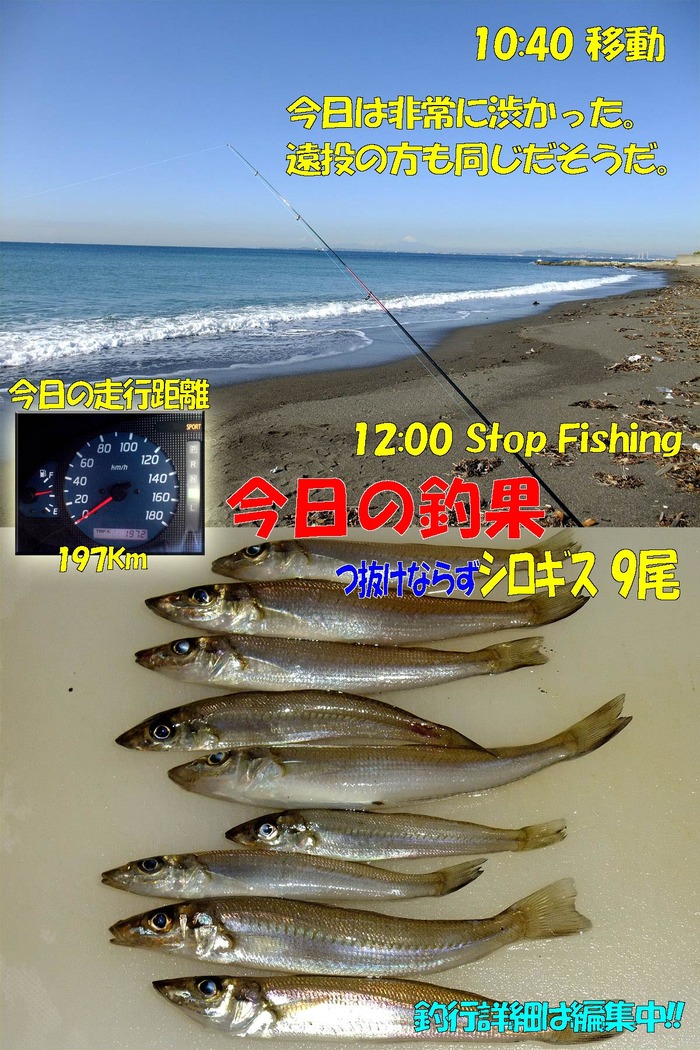 やや投げ鱚釣行記58　内房編