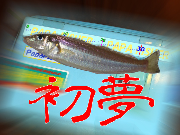初夢