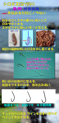 シロギス備忘録　あくまでも私的対処方法 1
