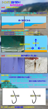 シロギス備忘録　あくまでも私的対処方法 2