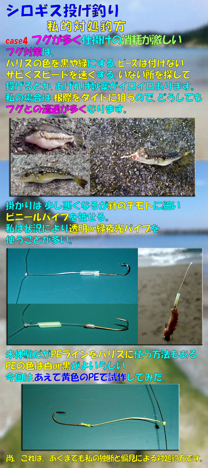 シロギス備忘録　あくまでも私的対処方法 3