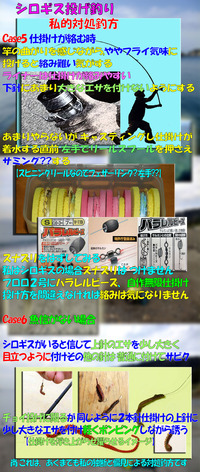 シロギス備忘録　あくまでも私的対処方法 4