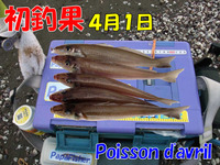 初釣果??
