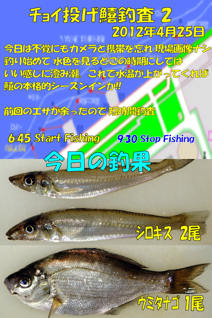 チョイ投げ鱚釣査 2