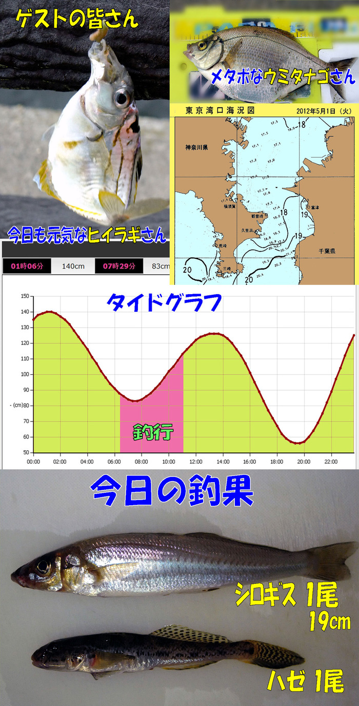 チョイ投げ鱚釣査 4