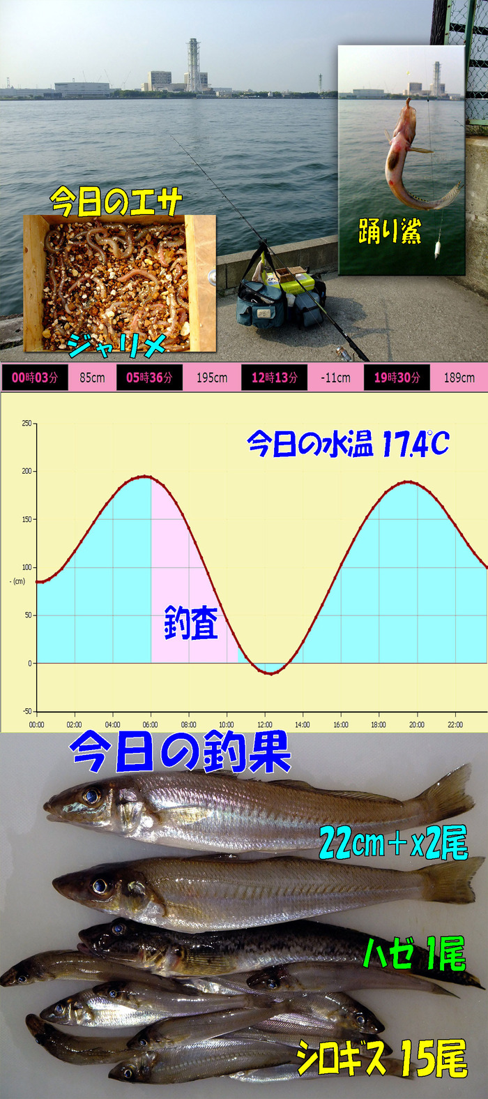 チョイ投げ鱚釣査 6
