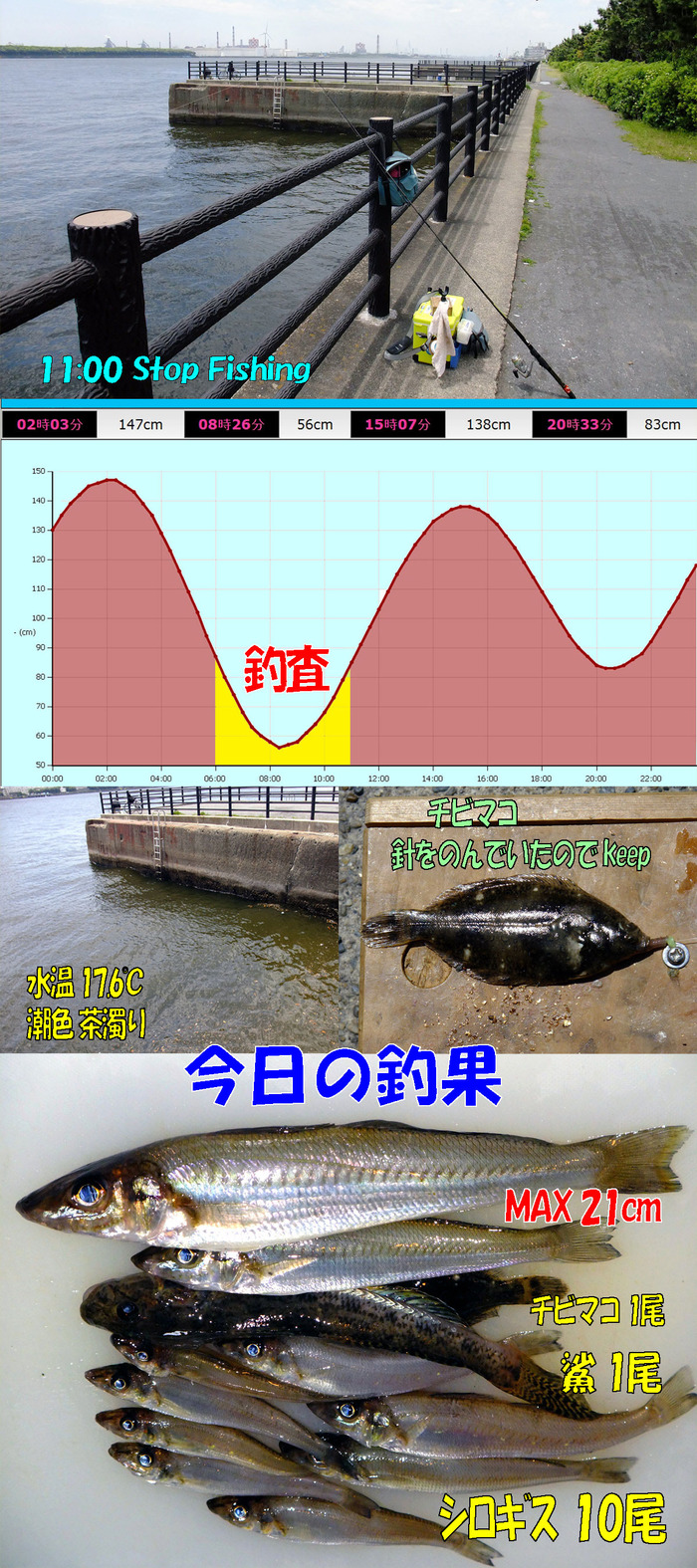 チョイ投げ鱚釣査 7