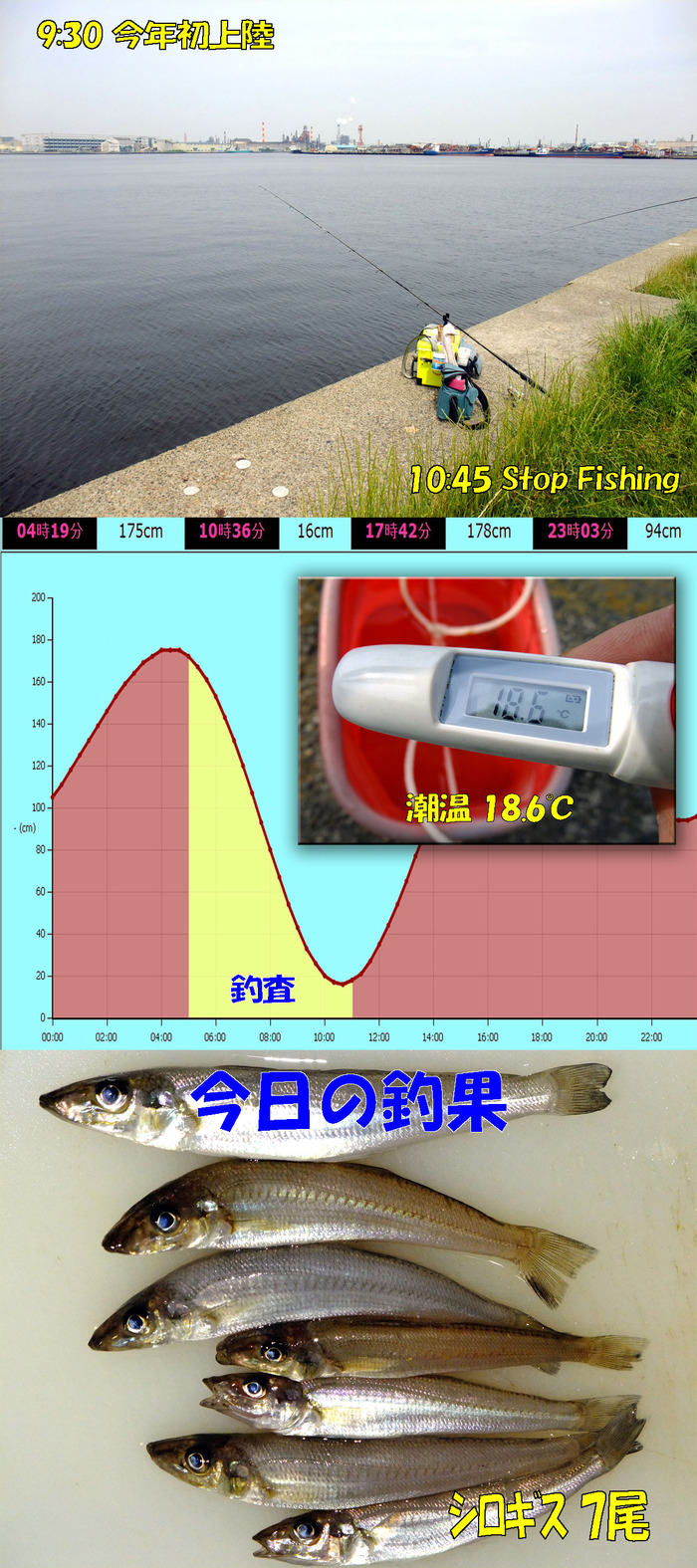 チョイ投げ鱚釣査 8