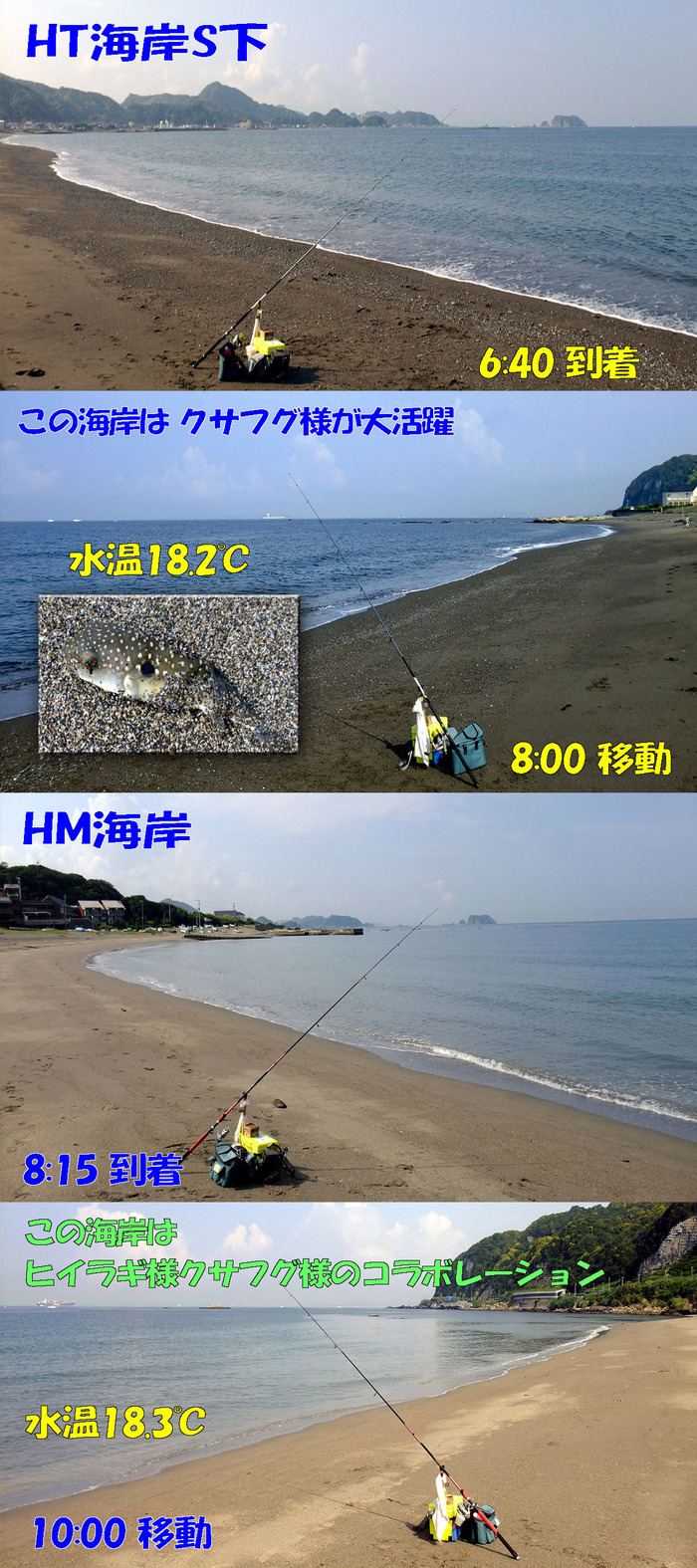 やや投げ鱚釣査 1
