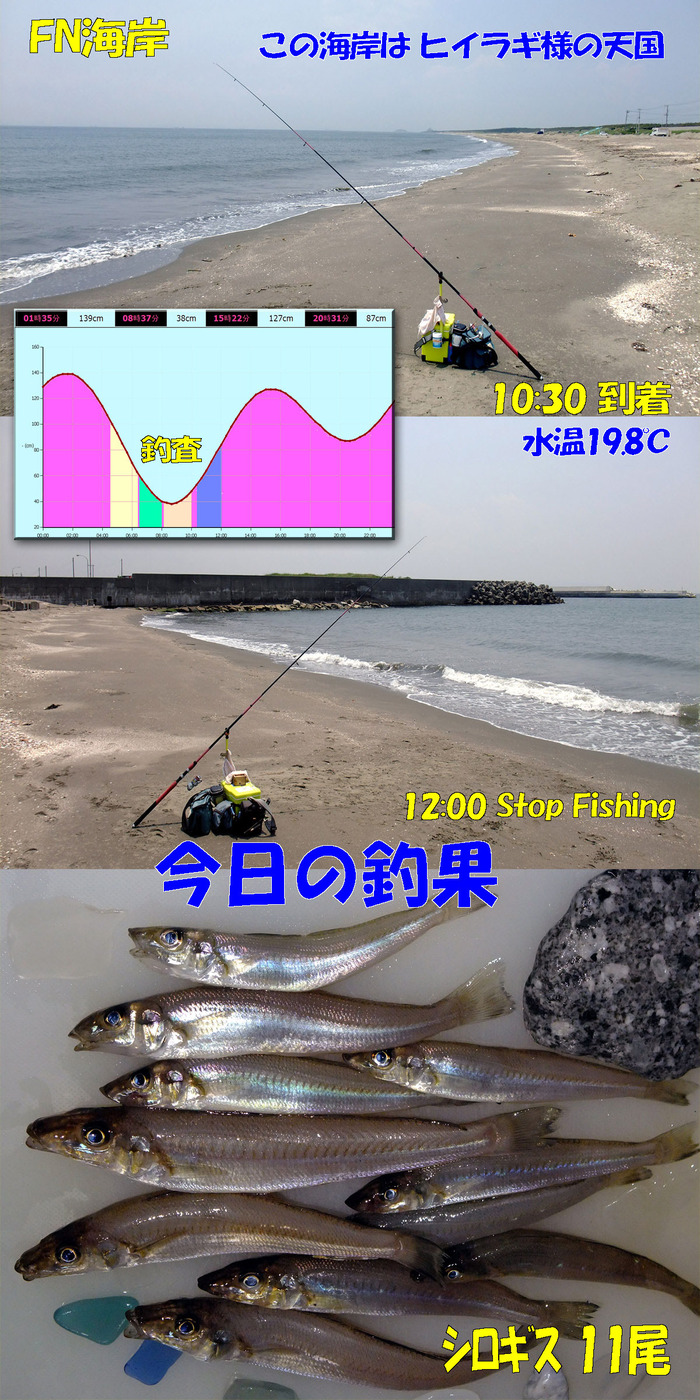 やや投げ鱚釣査 1