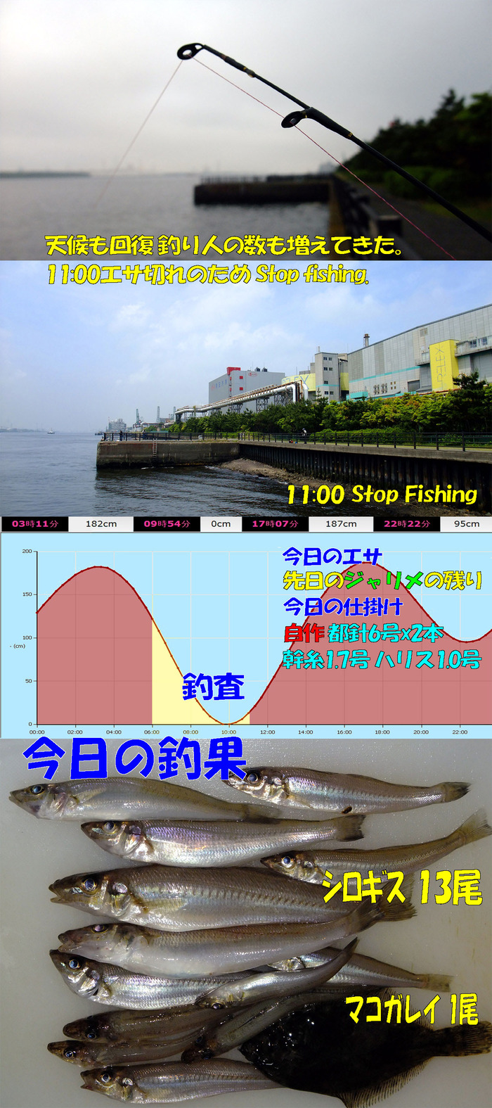チョイ投げ鱚釣査 9