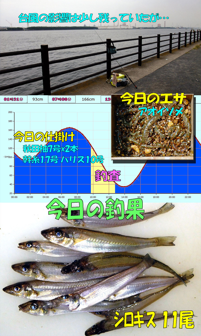 チョイ投げ鱚釣査 12