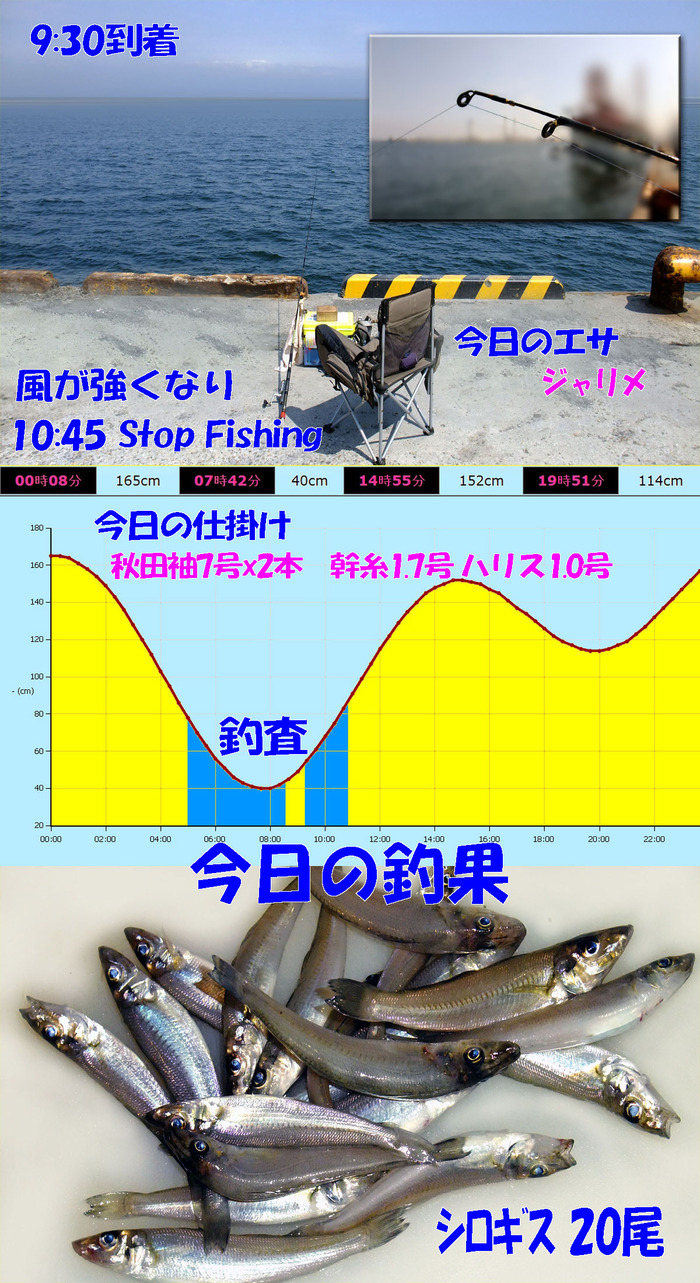 やや投げ+チョイ投げ鱚釣査 3