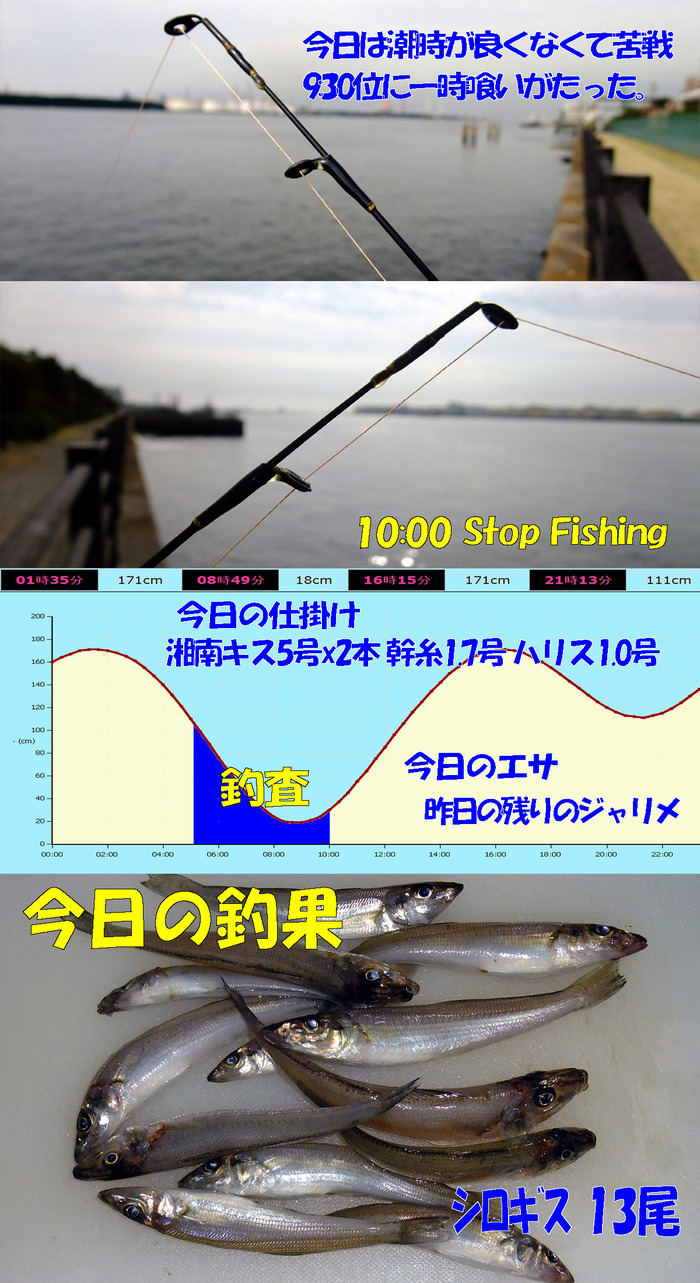 チョイ投げ鱚釣査 14