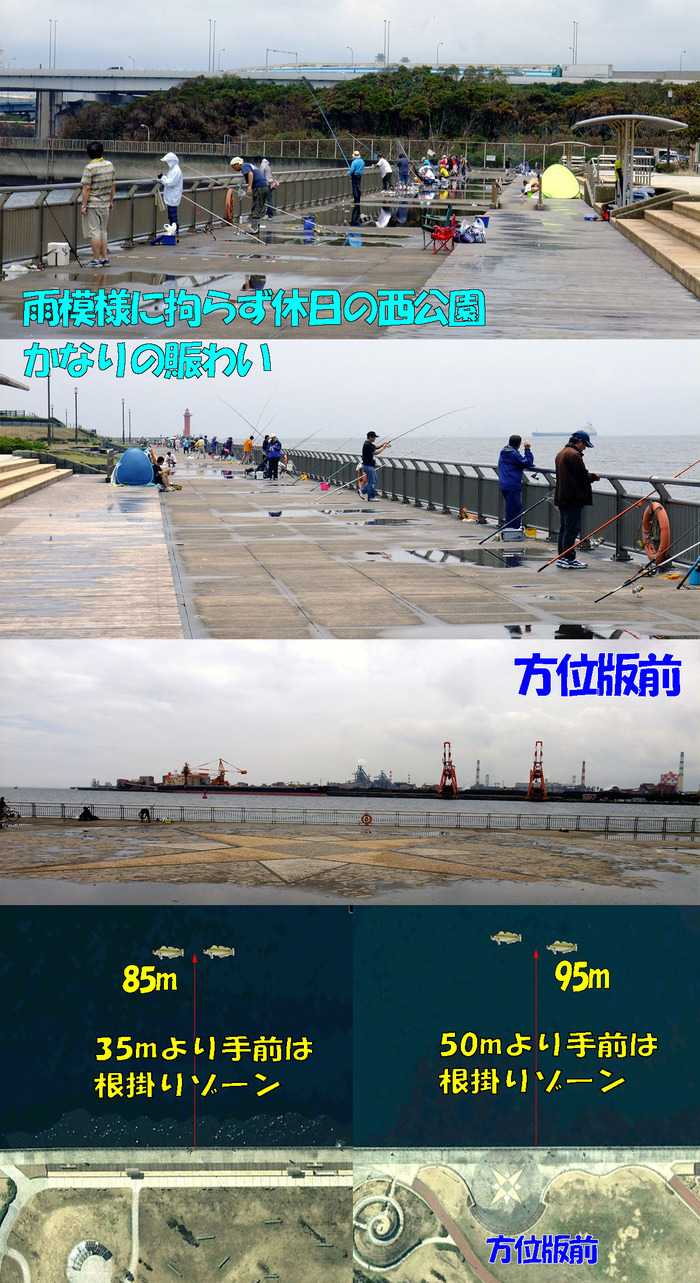 やや投げ鱚釣査 6