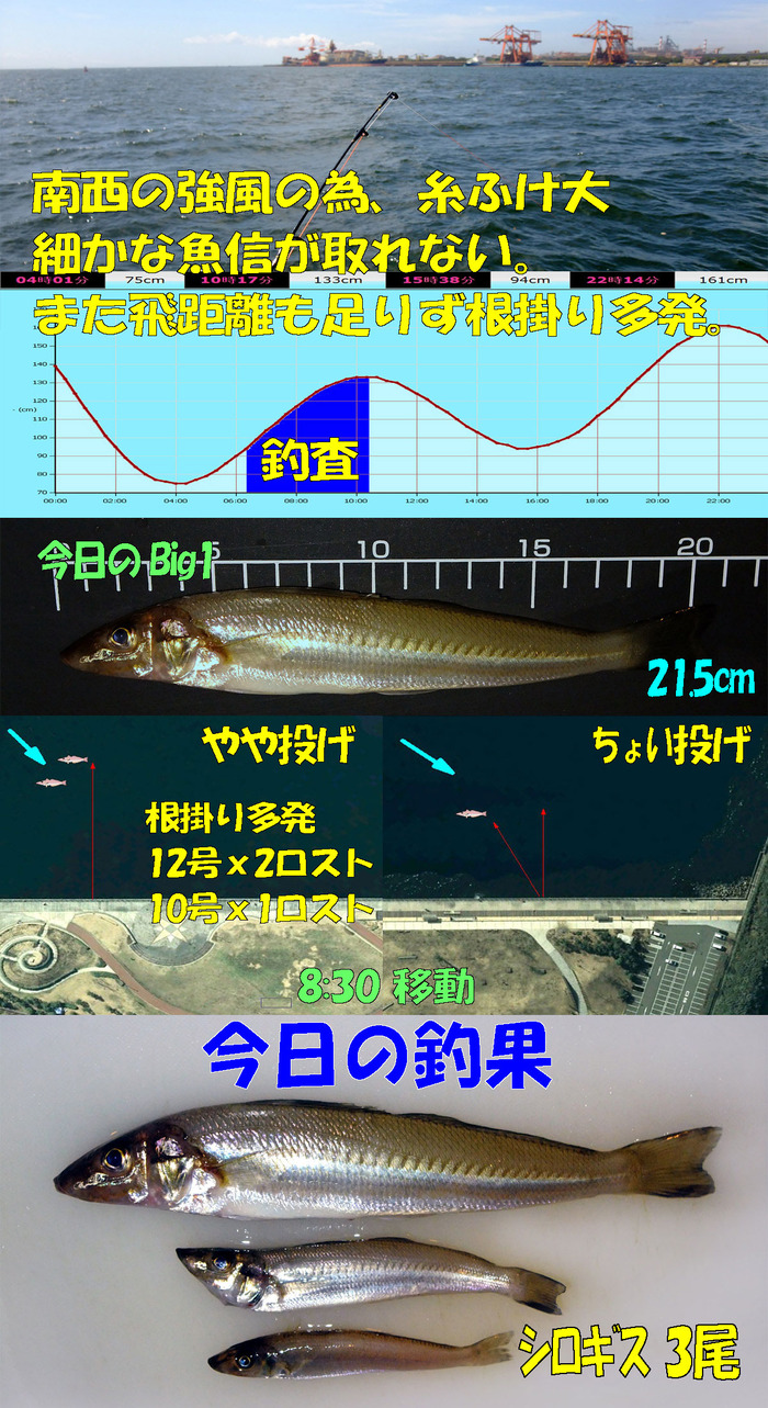 やや投げ+チョイ投げ鱚釣査 7