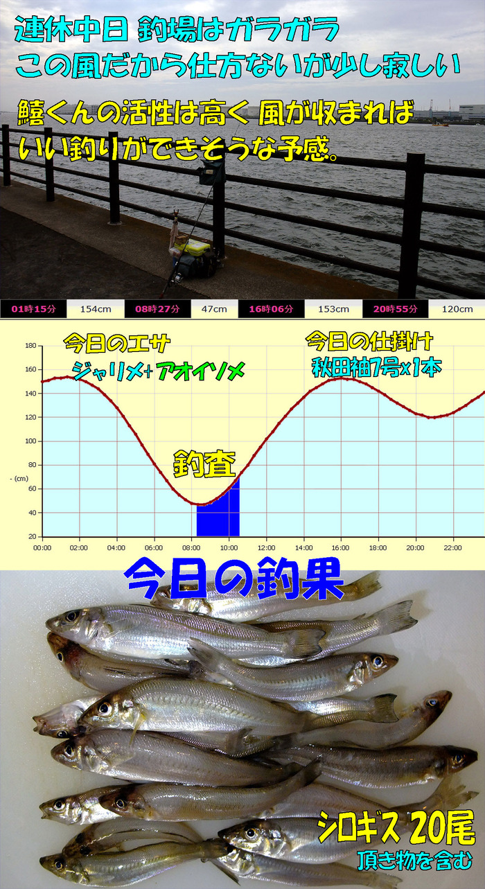 チョイ投げ鱚釣査 15