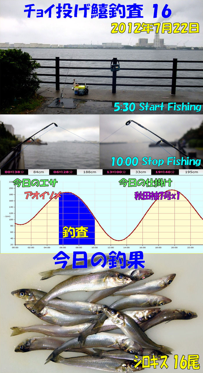 チョイ投げ鱚釣査 16