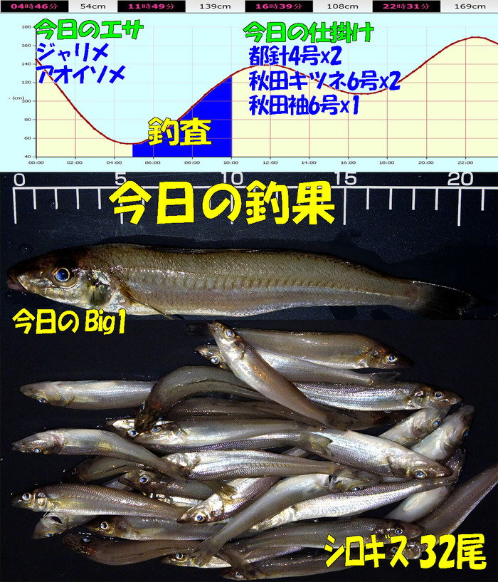 やや投げ鱚釣査 11