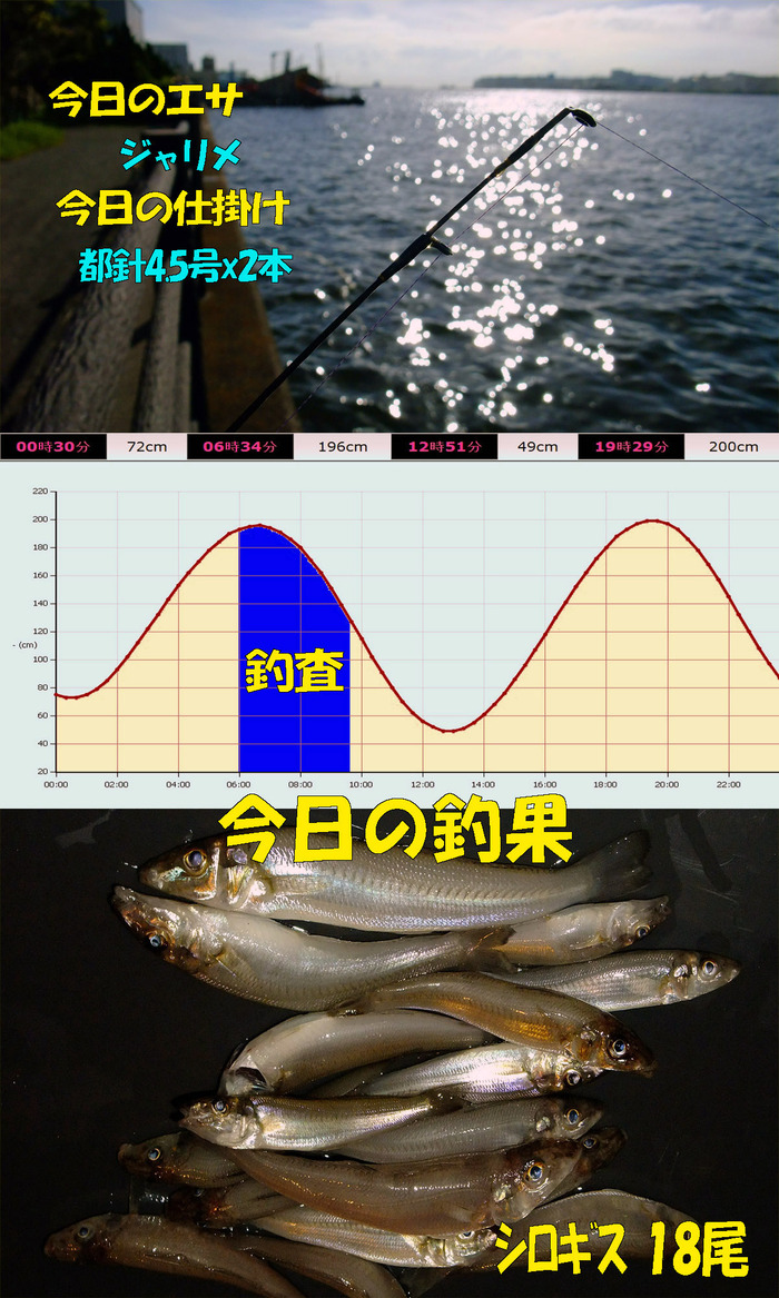 チョイ投げ鱚釣査 18