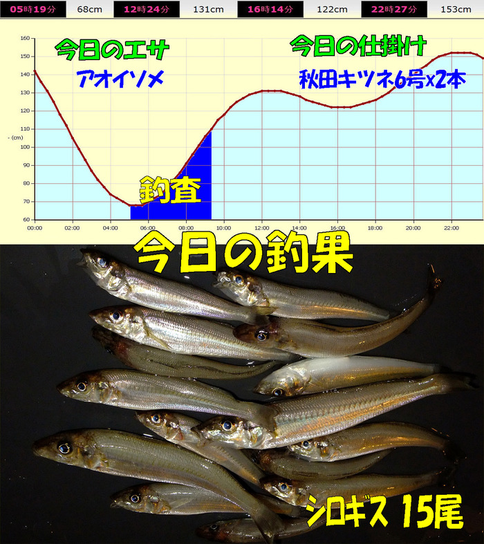 チョイ投げ鱚釣査 19
