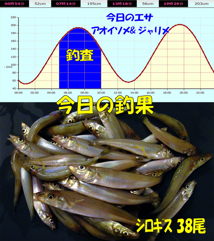 やや投げ鱚釣査 18