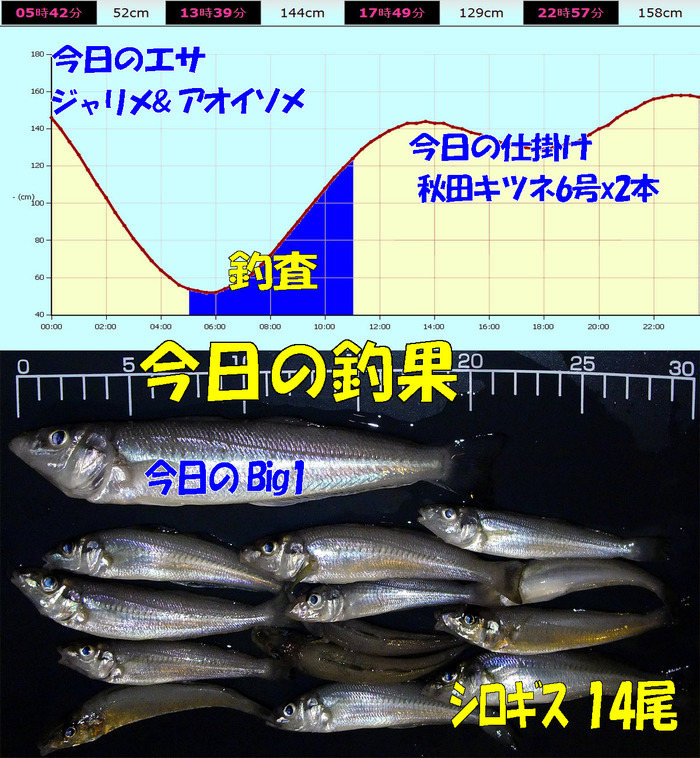 チョイ投げ鱚釣査 22