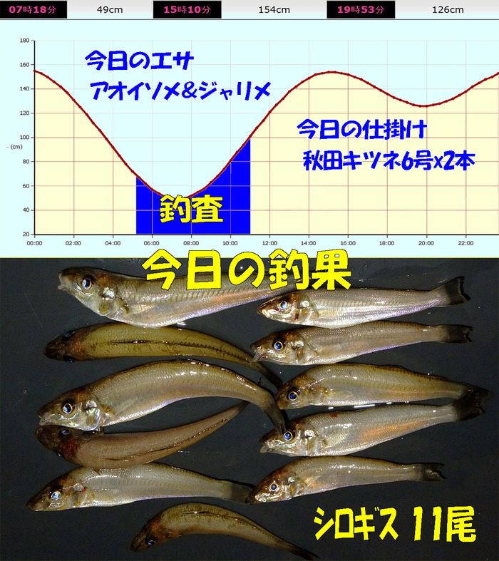 チョイ投げ+やや投げ鱚釣査 23
