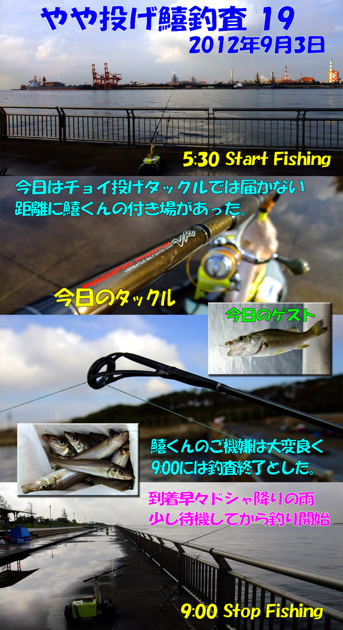 やや投げ鱚釣査 19
