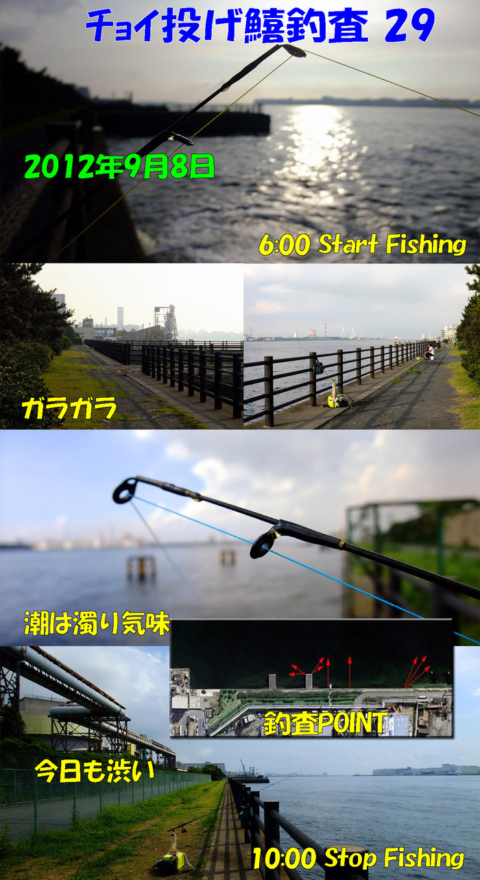 チョイ投げ鱚釣査 29
