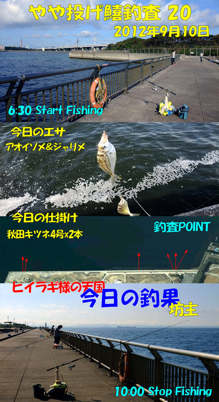 やや投げ鱚釣査 20