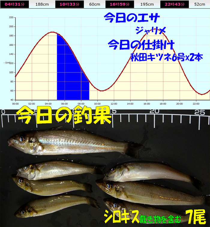チョイ投げ鱚釣査 34