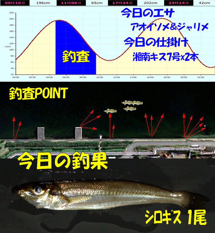 チョイ投げ鱚釣査 35