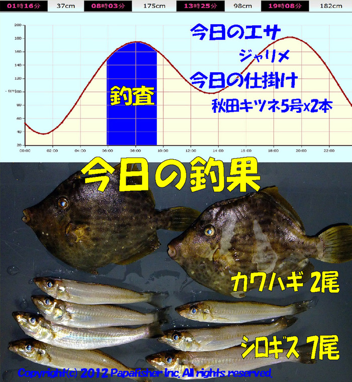 チョイ投げ鱚釣査 36