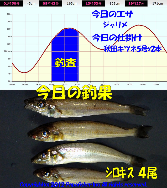 チョイ投げ鱚釣査 37
