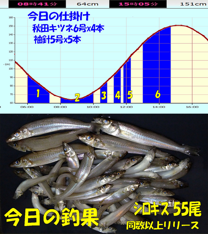 やや投げ鱚釣査 21の2　房総ランガン釣査2