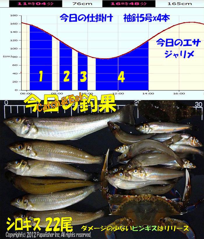 やや投げ鱚釣査 22　房総ランガン釣査