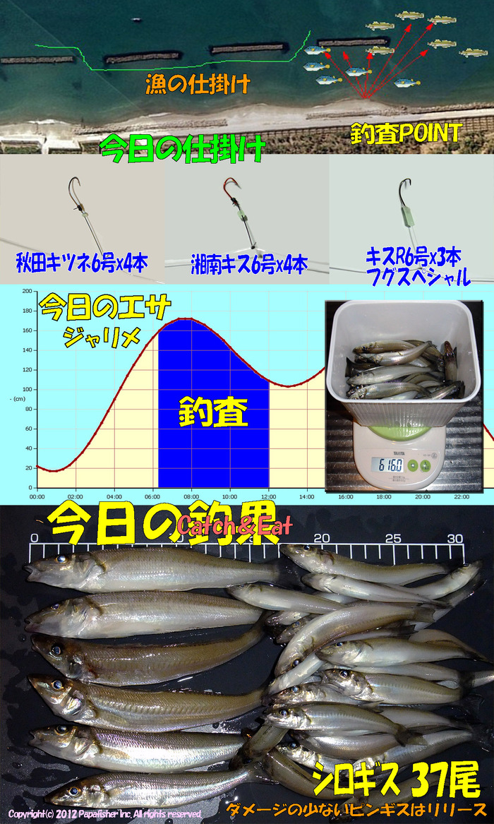 やや投げ鱚釣査 25　房総釣査