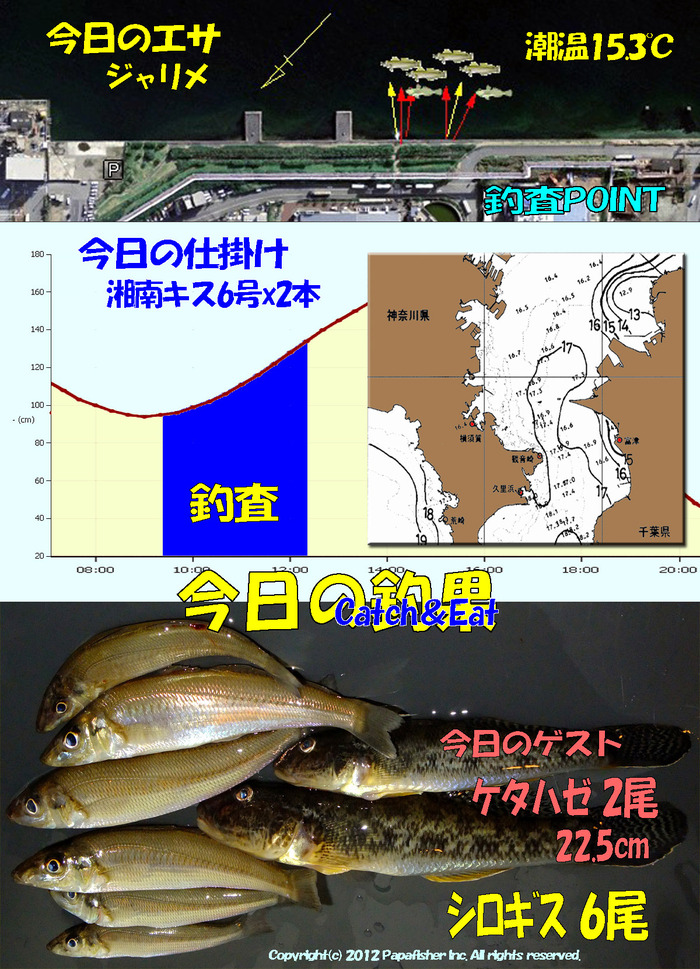 チョイ投げ鱚釣査 39　湾奥最終釣査??