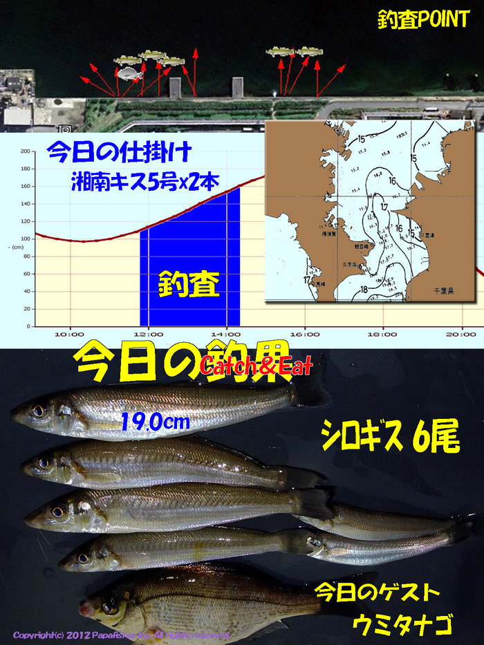 チョイ投げ鱚釣査 40　いつまで釣れるか?